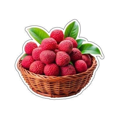 Durable Clear Acrylic Fridge Magnet | Strong Refrigerator Photo & Craft Display